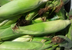 week 9 corn