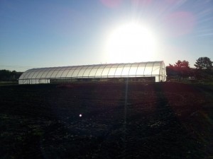 Hoop house at sunrise