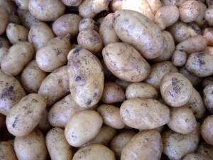 potatoes