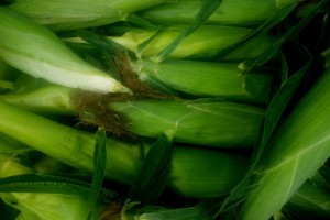 sweet corn