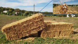 Lando on the straw compressed