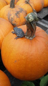pumpkin frog