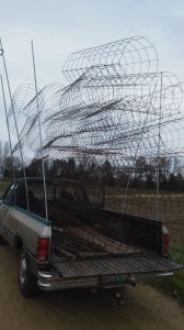 100 tomato cages in only two trips!