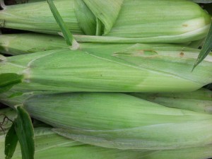 Sweet Corn
