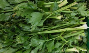celery