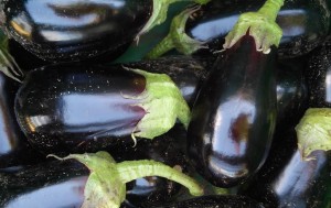 eggplant