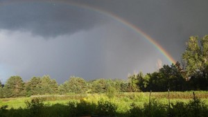rainbow over the eggplant