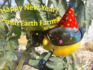 Happy New Year tomato.