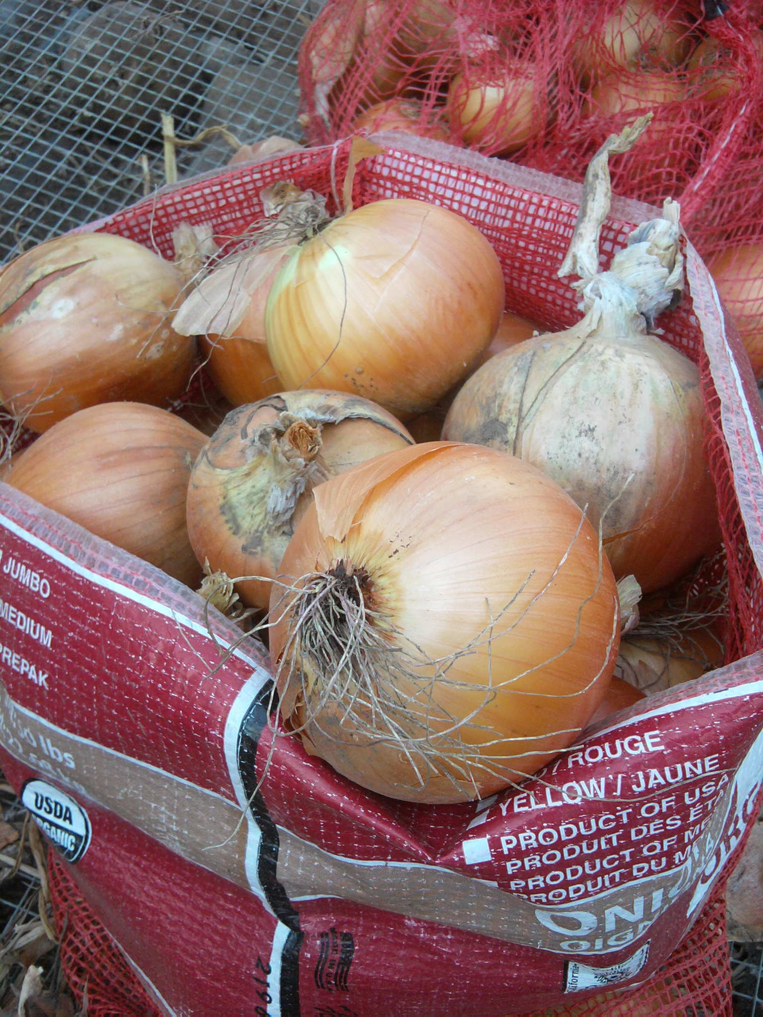 Onions and Shallot and Leeks Oh My! Fresh Earth Farms CSA